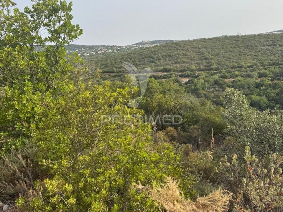 Helårsgrund i Sao Bras de Alportel, Faro - foto 1