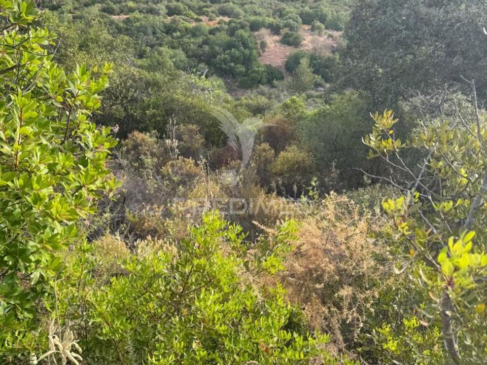 Helårsgrund i Sao Bras de Alportel, Faro - foto 2