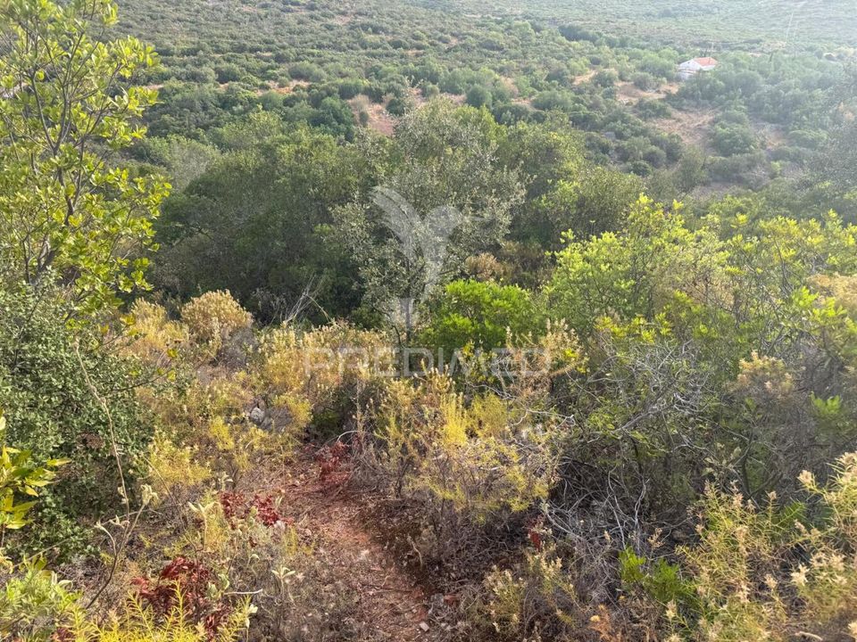 Helårsgrund i Sao Bras de Alportel, Faro - foto 3