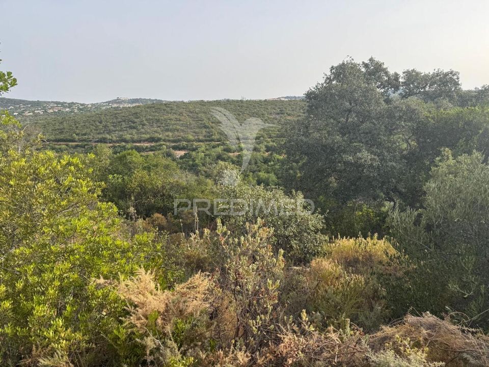 Helårsgrund i Sao Bras de Alportel, Faro - foto 4