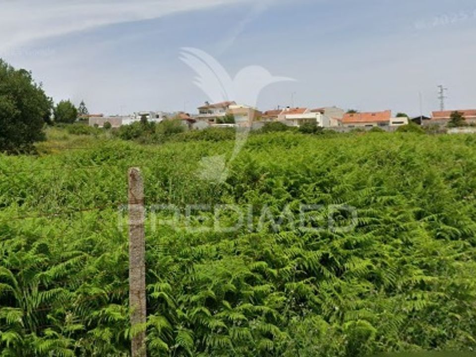 Helårsgrund i Vila Nova de Gaia, Porto - foto 2