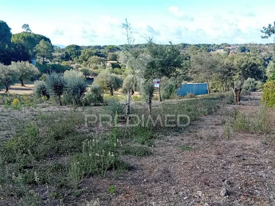 Helårsgrund i Ourem, Santarem - foto 1