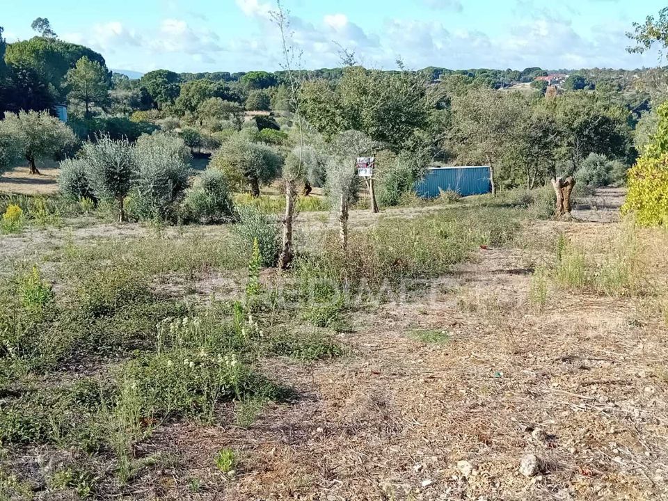 Helårsgrund i Ourem, Santarem - foto 2