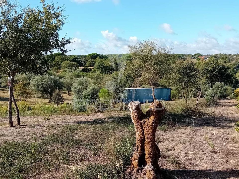 Helårsgrund i Ourem, Santarem - foto 3