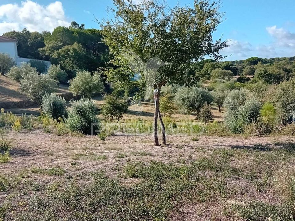 Helårsgrund i Ourem, Santarem - foto 4