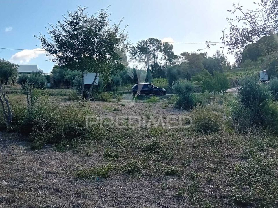 Helårsgrund i Ourem, Santarem - foto 5