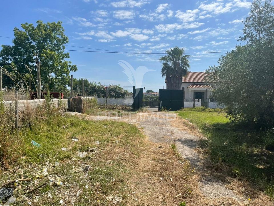 Terra em Azambuja, Lisbon - foto 5