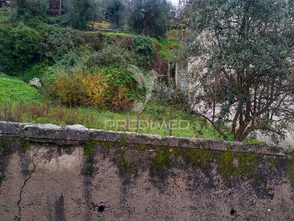 Helårsgrund i Portalegre, Portalegre - foto 2