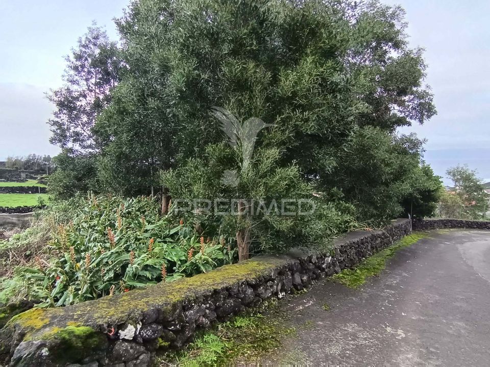 Helårsgrund i Sao Roque do Pico, Pico - foto 2