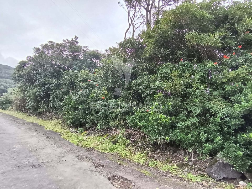 Helårsgrund i Sao Roque do Pico, Pico - foto 4