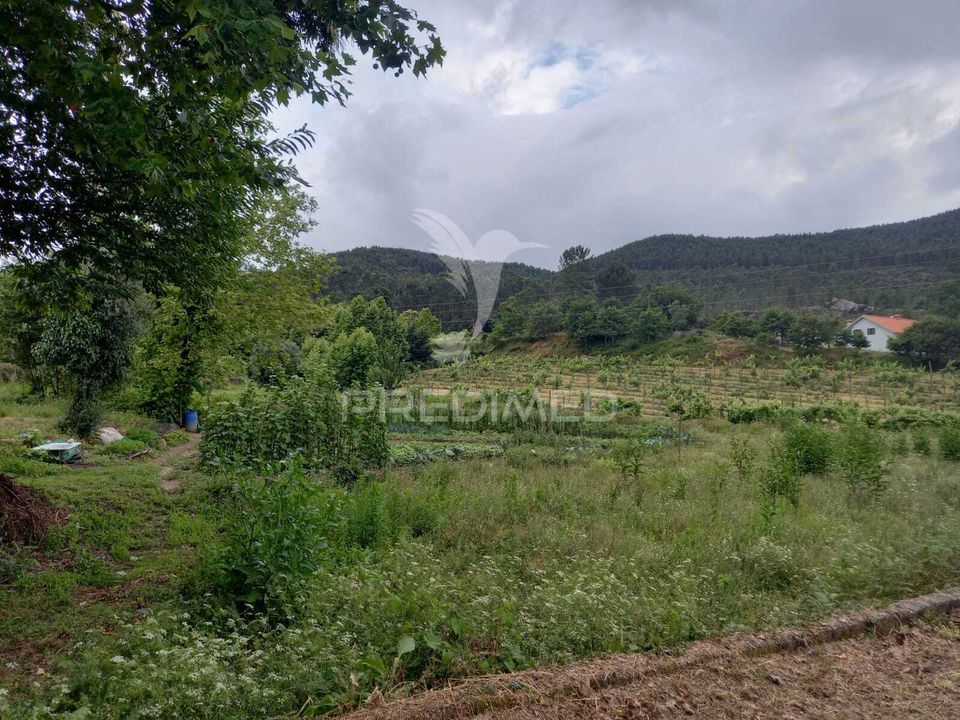 Helårsgrund i Mondim de Basto, Vila Real - foto 2