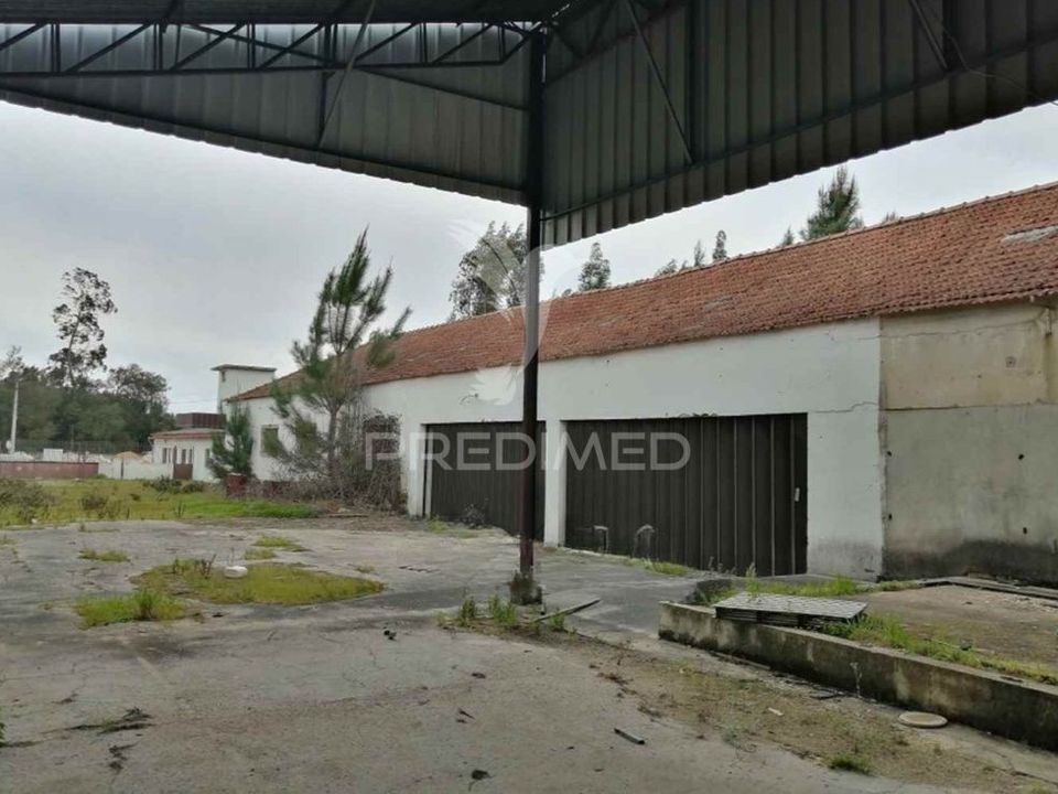 Erhvervsejendom i Anadia, Aveiro - foto 2