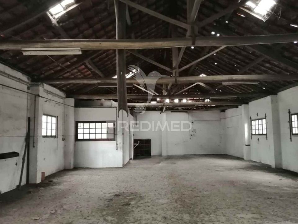 Erhvervsejendom i Anadia, Aveiro - foto 3