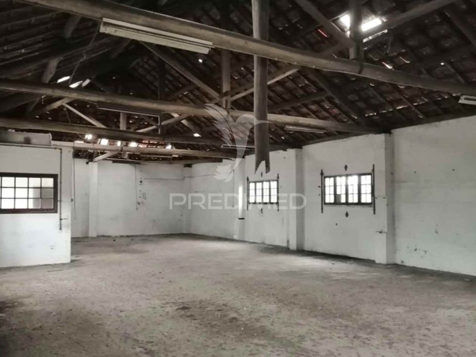 Erhvervsejendom i Anadia, Aveiro - foto 5