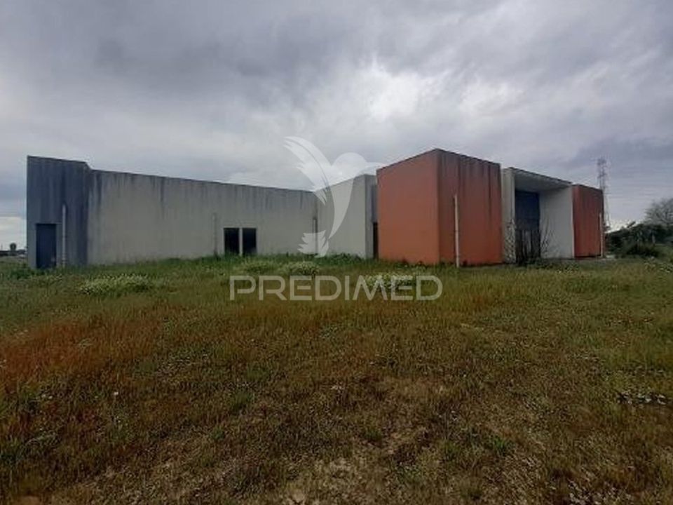 Helårsgrund i Benavente, Santarem - foto 3