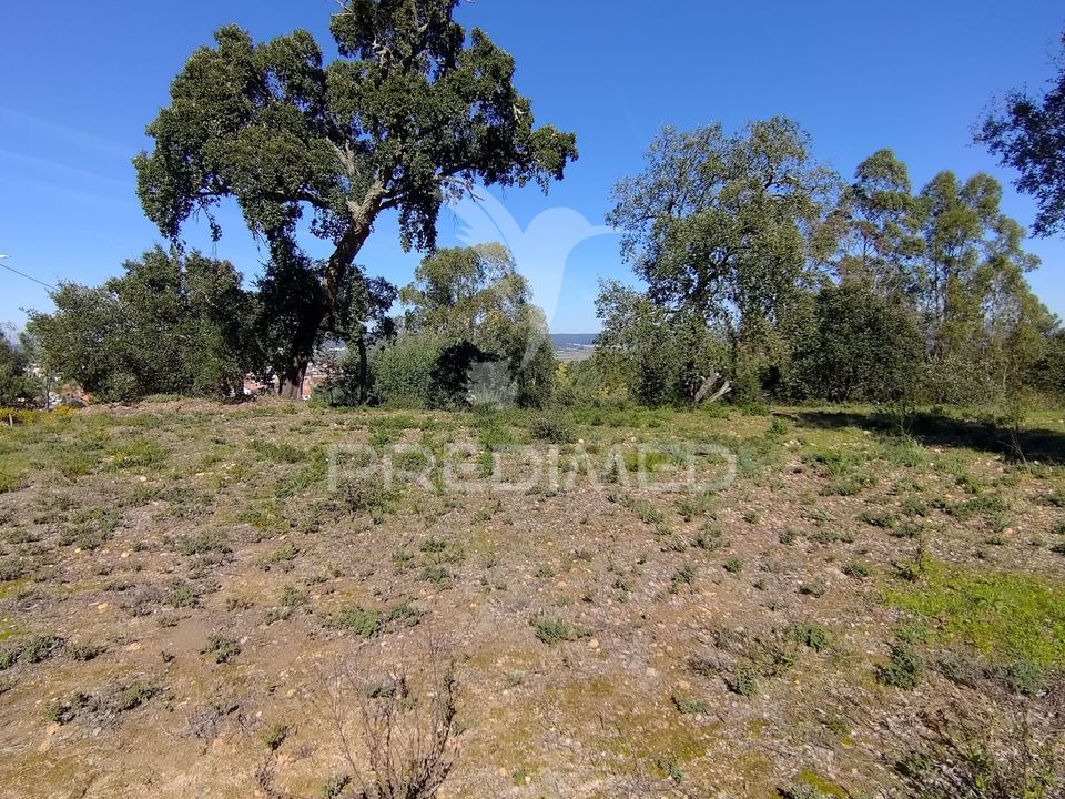 Helårsgrund i Constancia, Santarem - foto 2