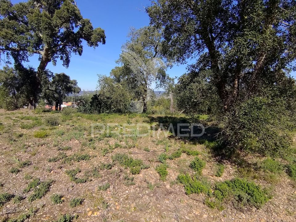Helårsgrund i Constancia, Santarem - foto 4