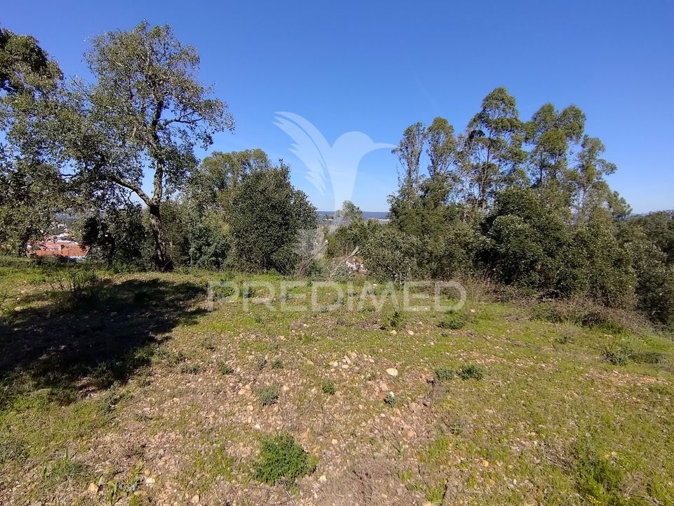 Helårsgrund i Constancia, Santarem - foto 5