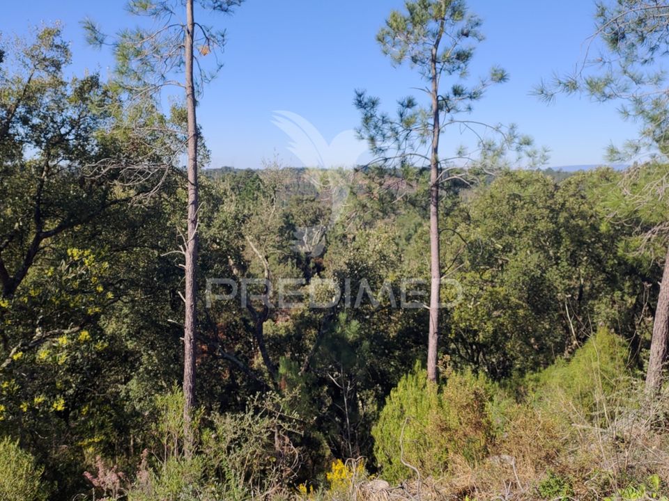 Helårsgrund i Constancia, Santarem - foto 1