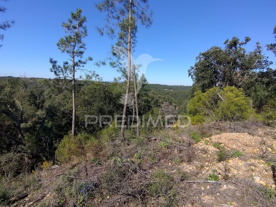 Helårsgrund i Constancia, Santarem - foto 2