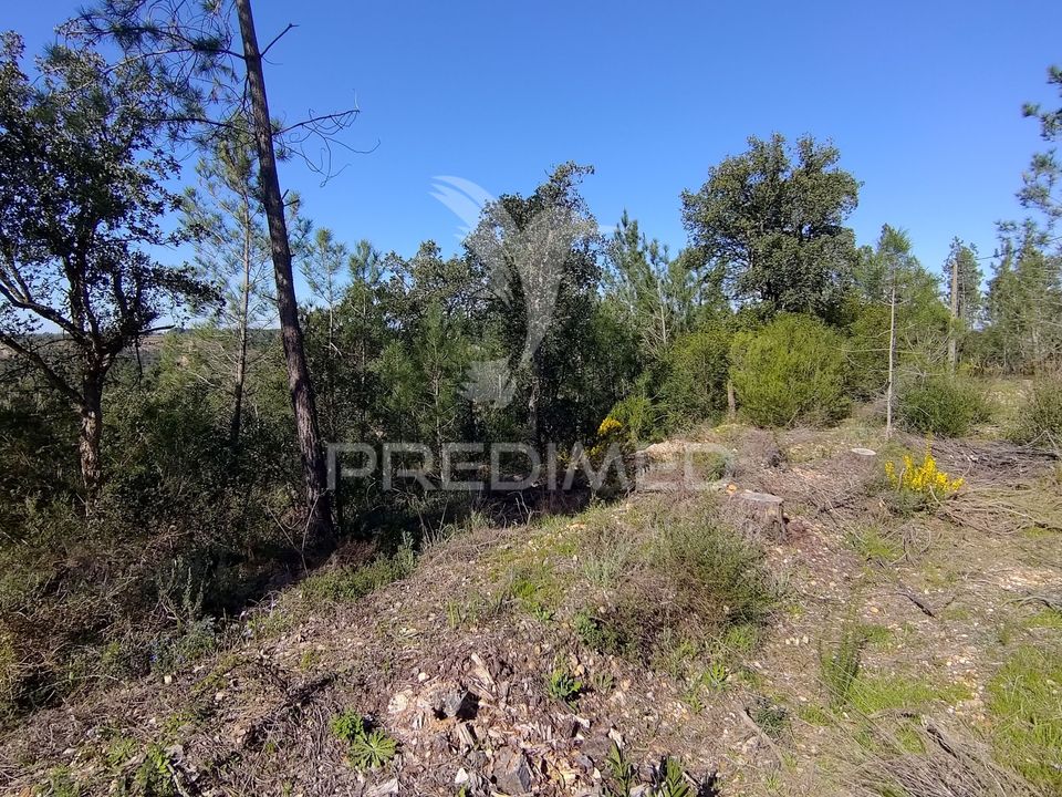 Helårsgrund i Constancia, Santarem - foto 3