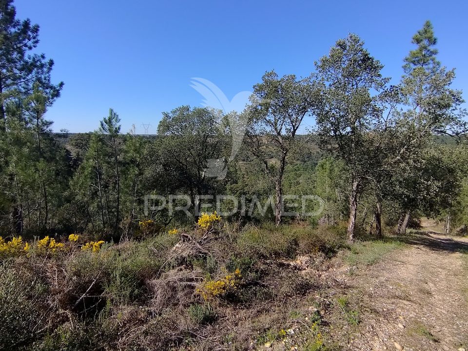 Helårsgrund i Constancia, Santarem - foto 5