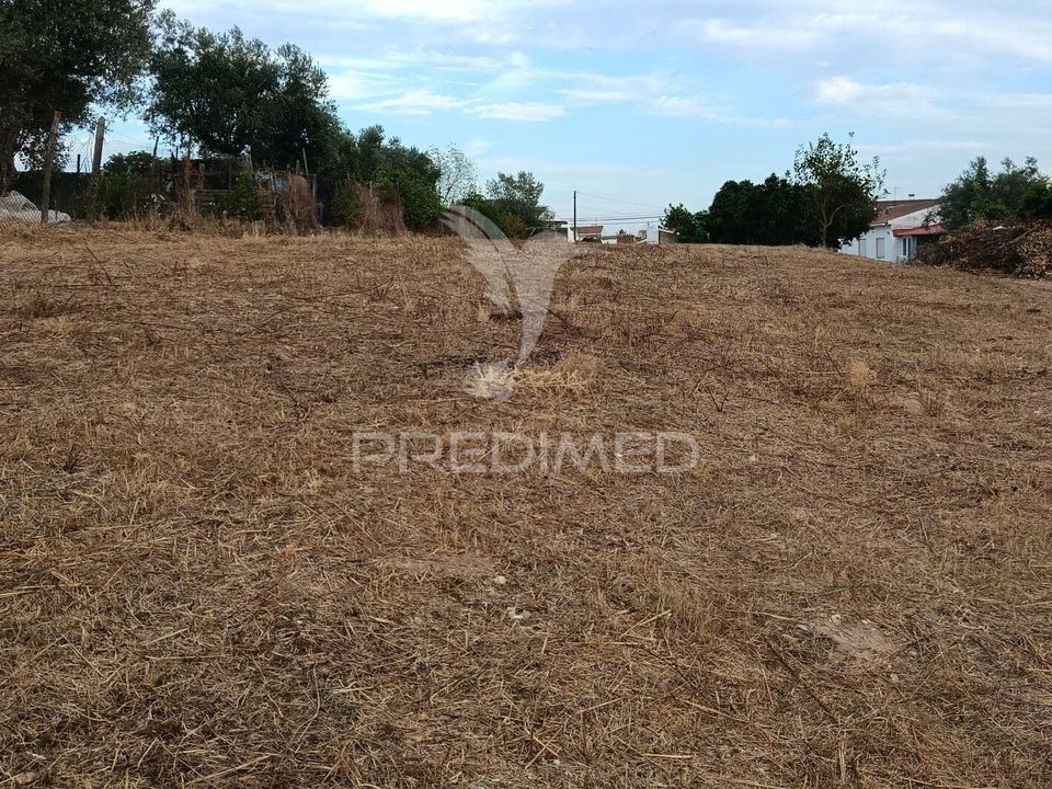 Helårsgrund i Alpiarca, Santarem - foto 4