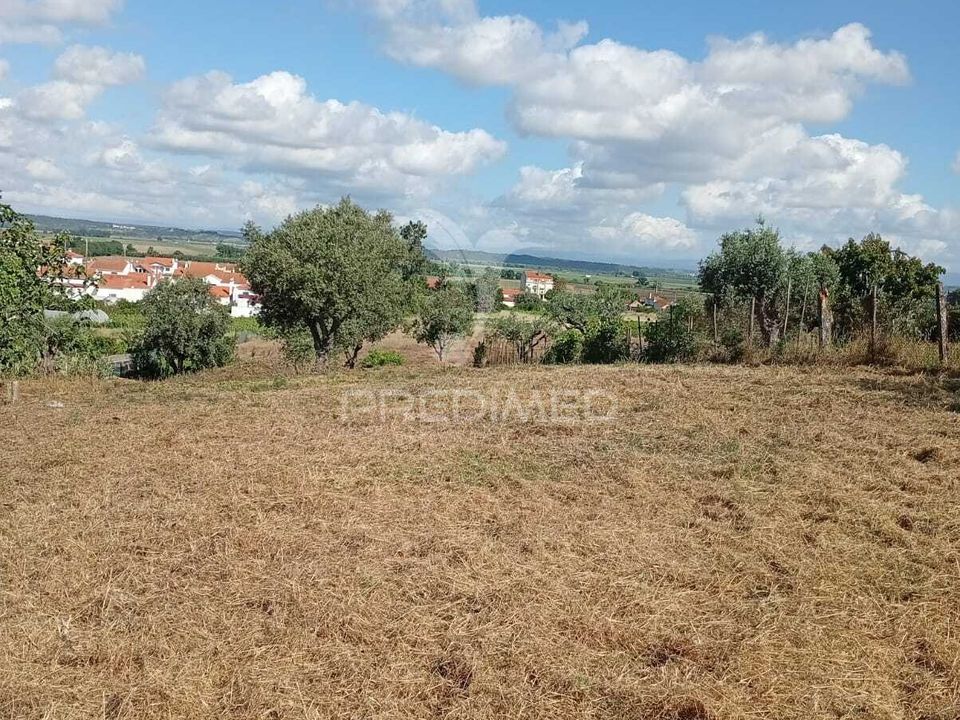 Helårsgrund i Alpiarca, Santarem - foto 5