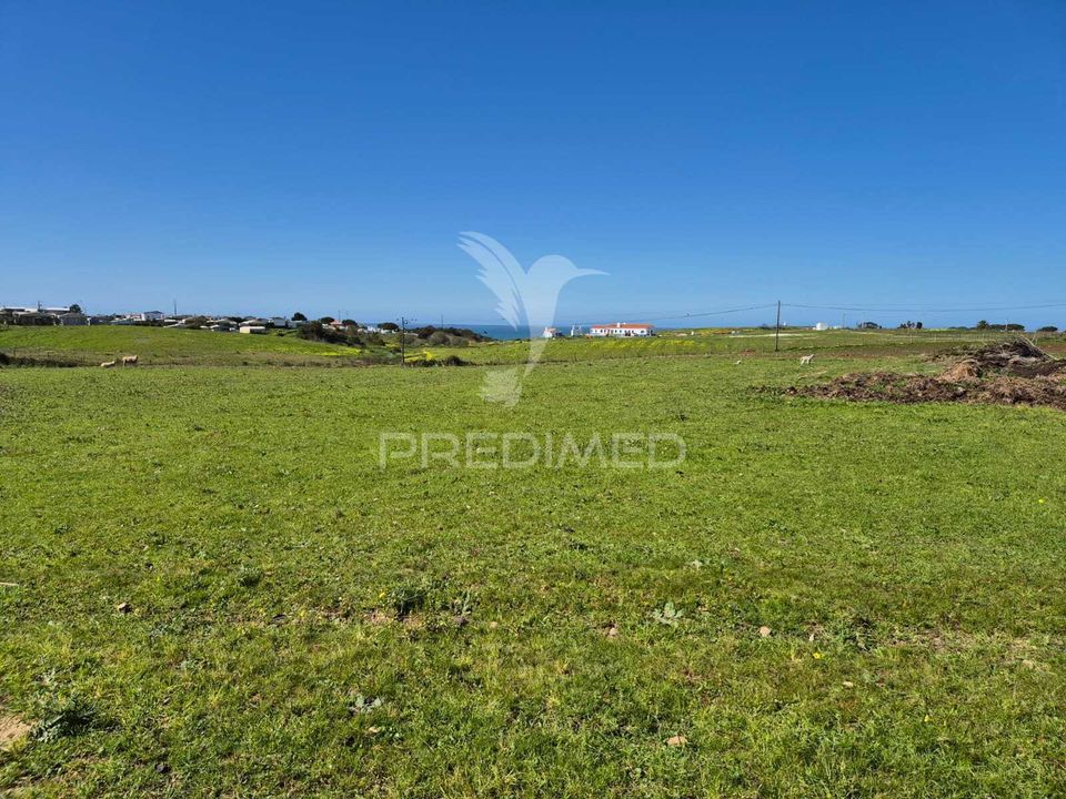 Farm hus i Sines, Setubal - foto 5