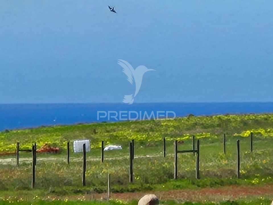 Farm hus i Sines, Setubal - foto 4