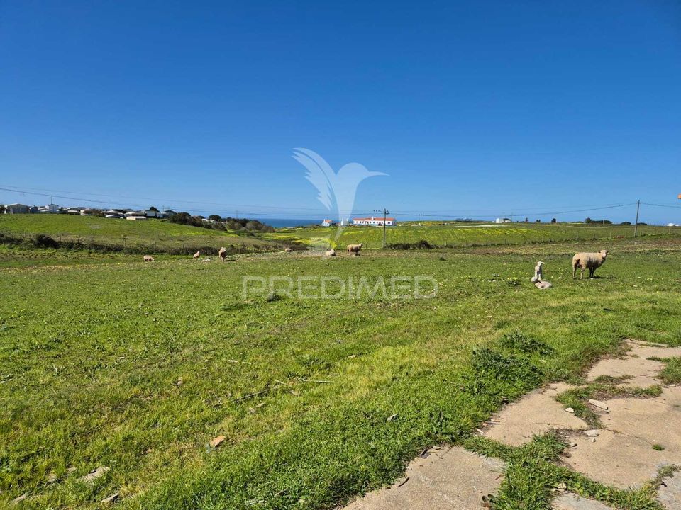 Farm hus i Sines, Setubal - foto 3