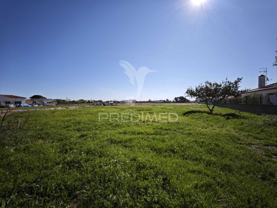 Tomt i Benavente, Santarem - bilde 2