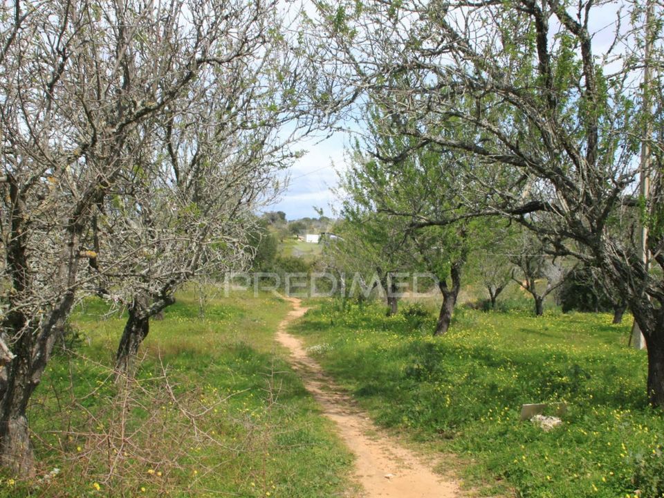 Masia a Albufeira, Faro - foto 2