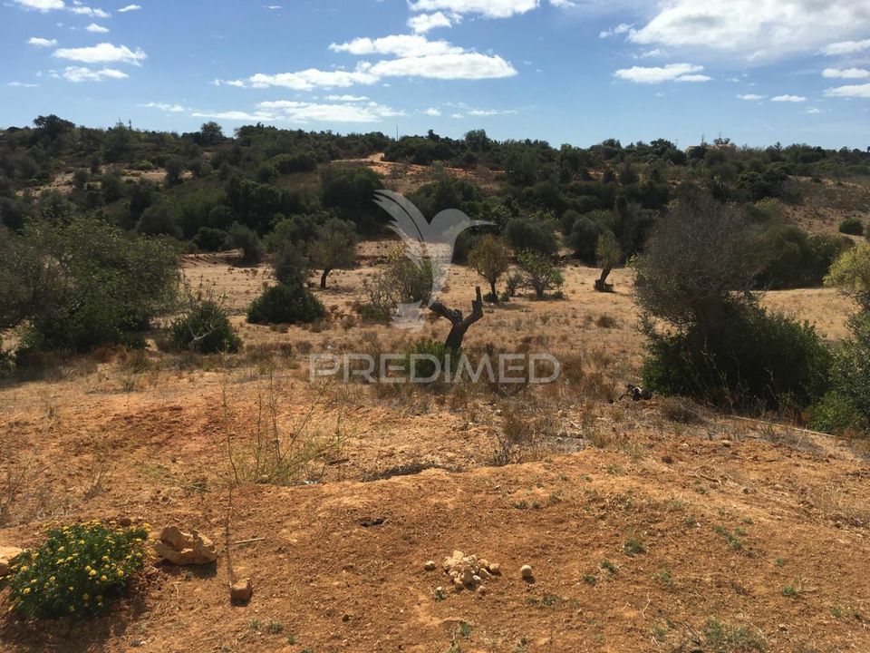 Masia a Albufeira, Faro - foto 3