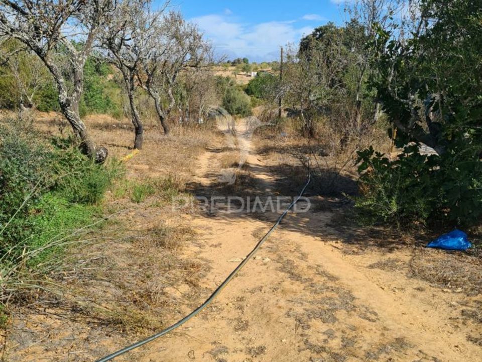 Masia a Albufeira, Faro - foto 5