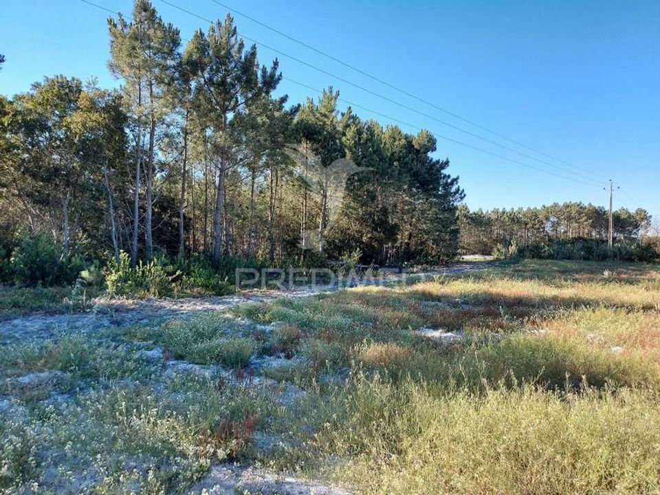 Tomt i Aljezur, Faro - bilde 4