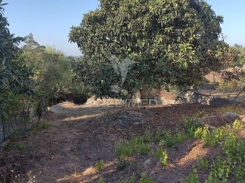 Helårsgrund i Ourem, Santarem - foto 5