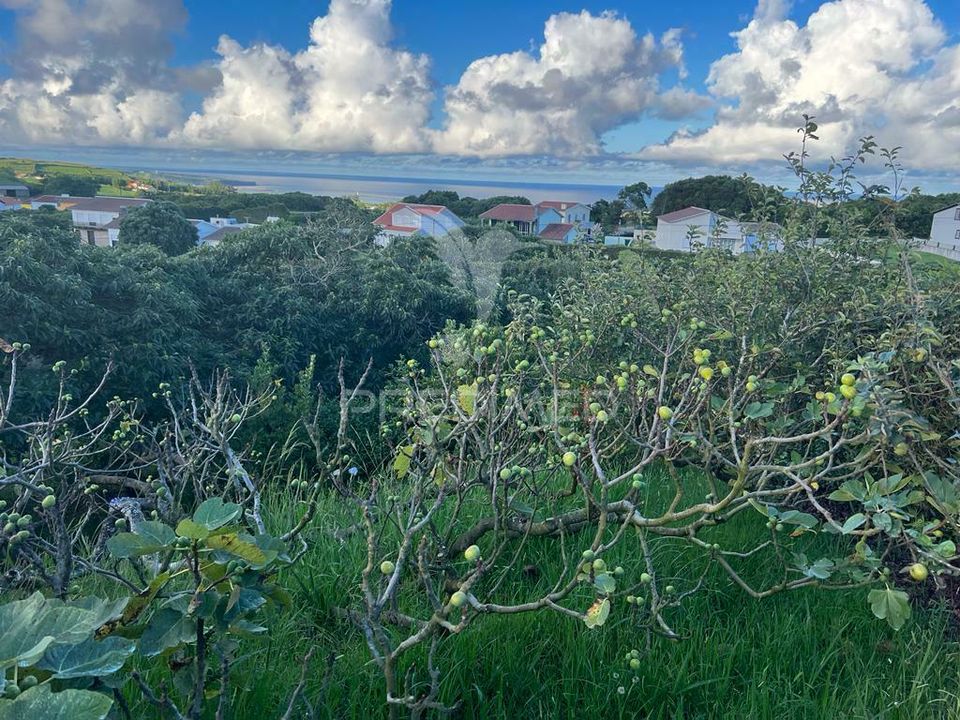 Helårsgrund i Vila da Praia da Vitoria, Terceira - foto 5