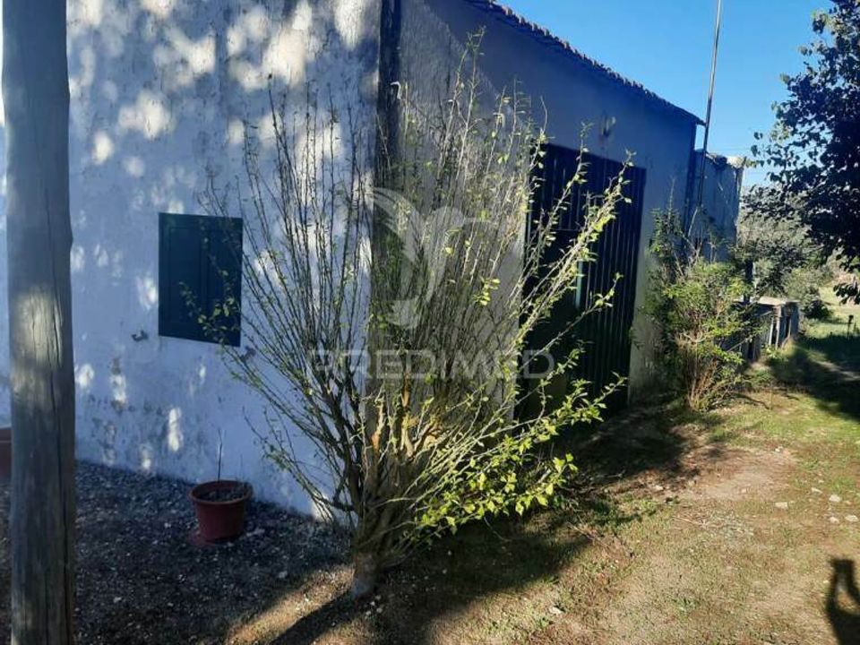 Tomt i Coruche, Santarem - foto 1