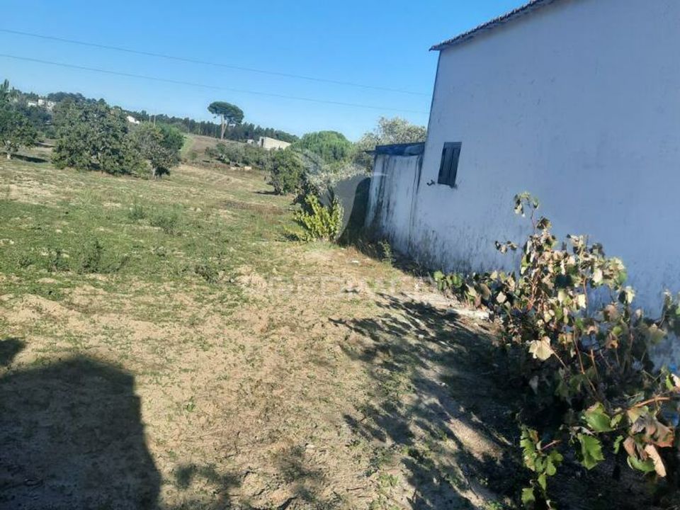 Tomt i Coruche, Santarem - foto 5