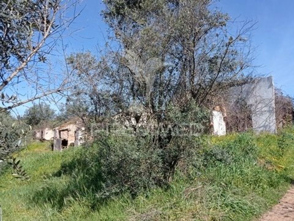 Farm hus i Ponte de Sor, Portalegre - foto 4