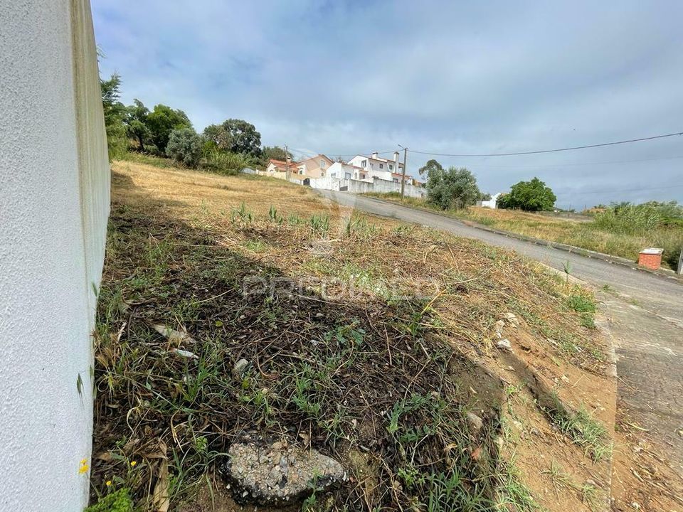 Tomt i Chamusca, Santarem - bilde 3