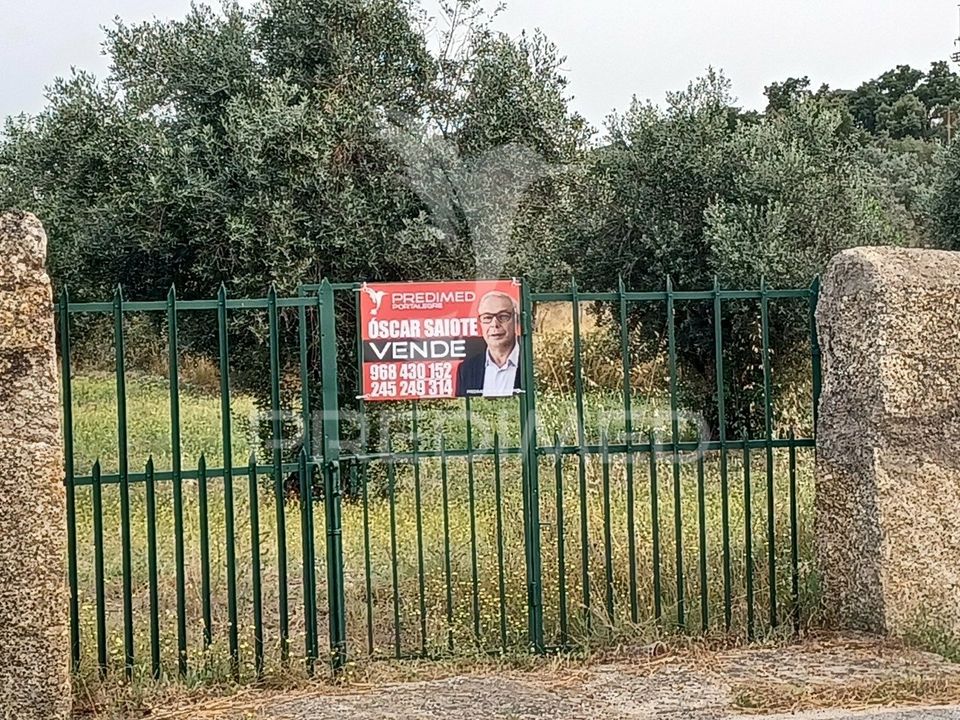 Helårsgrund i Nisa, Portalegre - foto 1