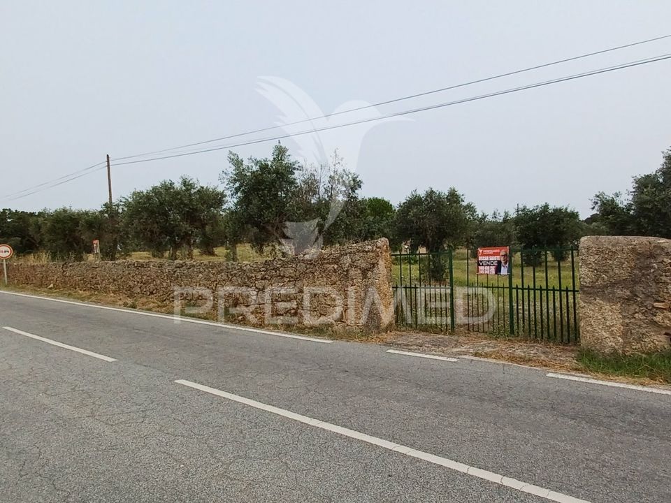 Helårsgrund i Nisa, Portalegre - foto 2