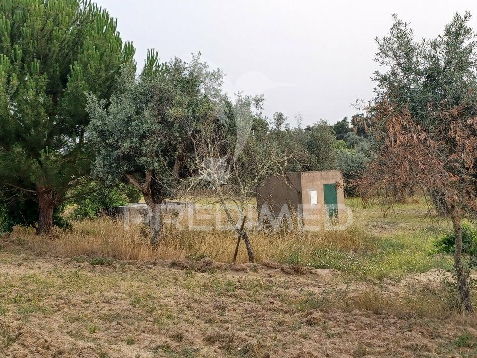 Helårsgrund i Nisa, Portalegre - foto 5