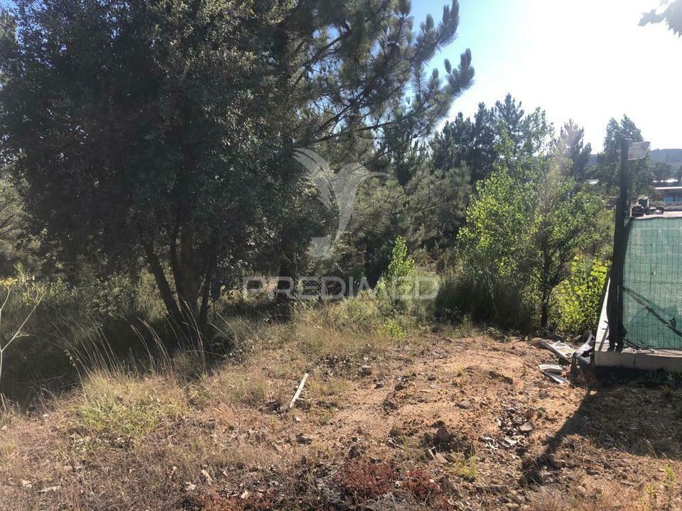 Helårsgrund i Pombal, Leiria - foto 5