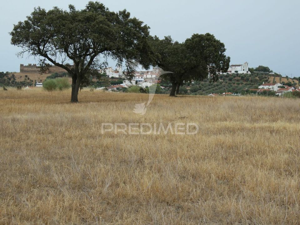 Helårsgrund i Alandroal, Evora - foto 1