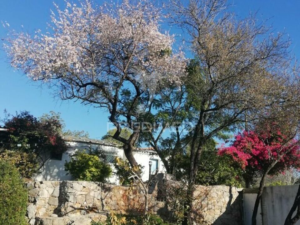 Byhus i Tavira, Faro - foto 5
