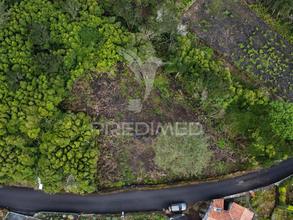 Helårsgrund i Madalena, Pico - foto 4