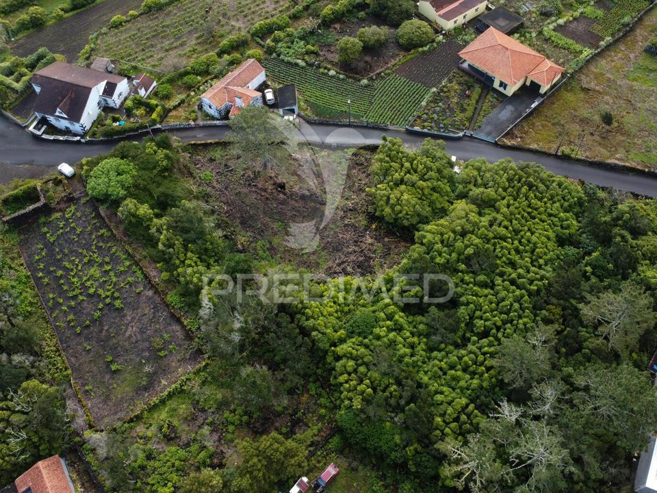 Helårsgrund i Madalena, Pico - foto 5